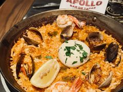 -Apollo·西班牙小酒馆(安福路店)