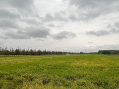 -嘉北郊野公园