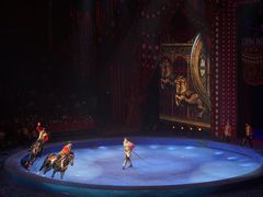 -珠海横琴长隆《卡卡虎奇遇记》