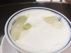 双皮奶-仁信老铺(北滘店)