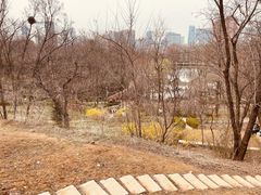 -大连植物园