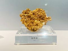 -中国地质博物馆