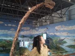 -自贡恐龙博物馆