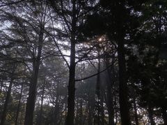 -八大关景区