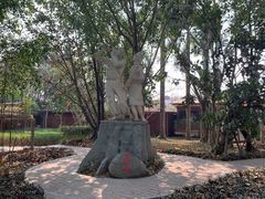 -瑞丽独树成林风景区