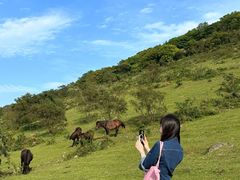 -大姆山草场