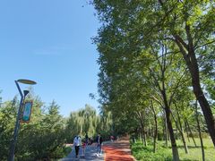 -大兴滨河森林公园