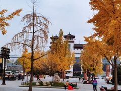 -大雁塔北广场音乐喷泉