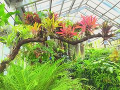 -北京植物园-展览温室