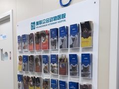 -美联众合爱康动物医院•复杂内科•肿瘤科•牙科•腔镜诊疗中心