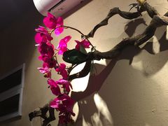 -耳艺采耳·足疗·按摩SPA(东圃店)