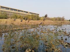 -天津工业大学西苑餐厅