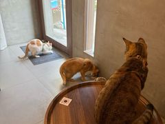 -Again Coffee Roaster(香蜜湖店)