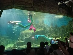 -嘉兴海底世界