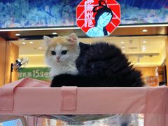 -金茂览秀城