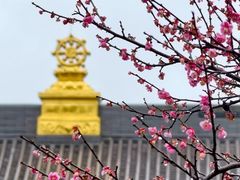 -庐山风景名胜区-东林大佛