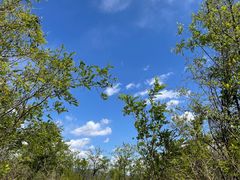 -辛安庄鸡鸣山景区