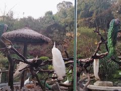 -广州长隆国际大马戏