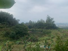 -天强农家菜馆