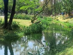 -人民公园(罗湖区)