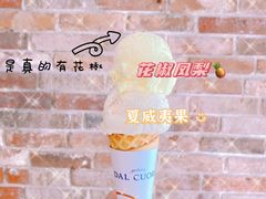 -Dal Cuore 达可芮冰淇淋(陕西北路店)