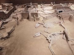 -洛阳周王城天子驾六博物馆