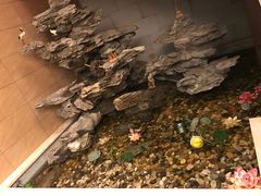 -固元堂(摩方分院)