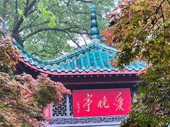 -岳麓山风景名胜区