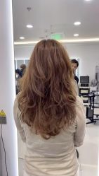 -HaLo hair studio