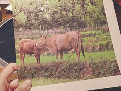 -左庭右院鲜牛肉火锅(南通CBD大有境店)
