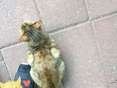 -江头公园