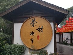 -天目湖山水园