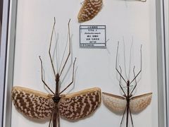 -烟台市博物馆