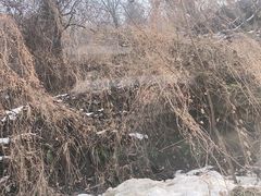 -秦岭终南山世界地质公园翠华山景区
