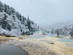 -黄龙山原始森林景区