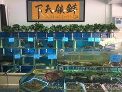 -鑫悦楼煎蟹·16年海鲜大排档