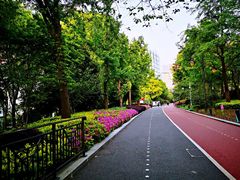 -北外滩滨江绿地