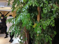 -韩道炭火烤肉专门店