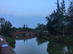 -白鹭湾湿地公园