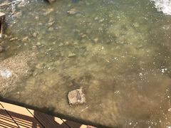 -东疆建设开发纪念公园