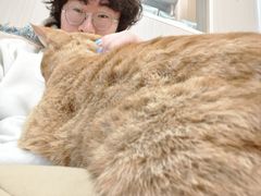 -唐小姐の私宠·宠物洗护美容·撸猫馆·购宠(周浦万达旗舰店)