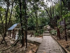 -天鹿湖森林公园