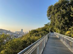 -佛山华盖山公园