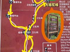 -大岭沟猕猴桃谷风景区