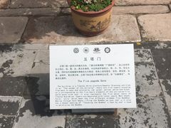 -普陀宗乘之庙(小布达拉宫)