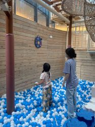 -PIPIKINGDOM皮皮王国欢乐号(欢乐海岸购物中心店)