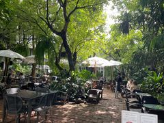 -Fern Forest Cafe
