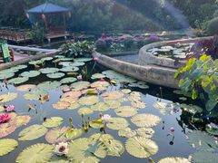 -广州莲花山旅游区