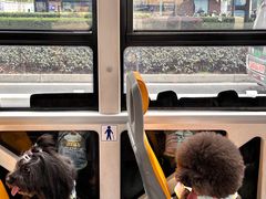 -帕帕拉兹宠物(亚洲旗舰店)