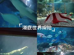 -大连圣亚海洋世界